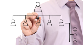 Organization Structure Banner